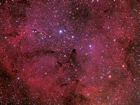 IC1396 - Bright Nebula in Cepheus