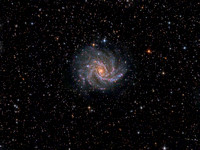 NGC 6946 - The Fireworks Galaxy in Cepheus