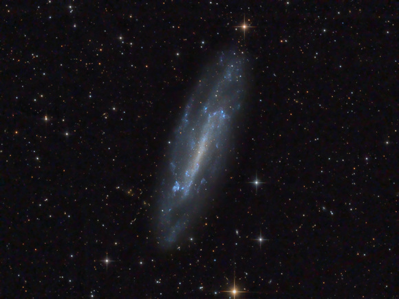 NGC 4236 - Barred Spiral in Draco