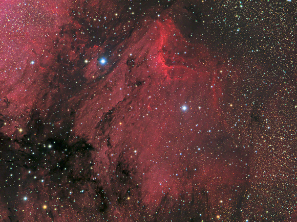 IC 5070 - The Pelican Nebula