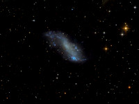 IC 2574 - Coddington's Galaxy
