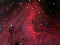 IC5070 - The Pelican Nebula