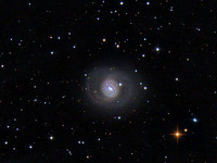 M77 - Barred Spiral in Cetus