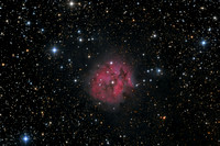 IC5146 - The Cocoon Nebula