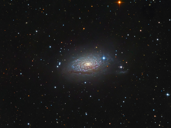 M63 - The Sunflower Galaxy