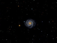 NGC 1232 - Facing Spiral in Eridanus