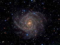 IC342 - Facing Spiral in Camelopardalis