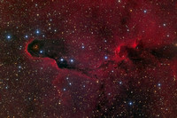 IC1396A - The Elephant Trunk Nebula