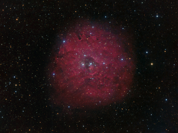 SH2-170 - The Little Rosette Nebula