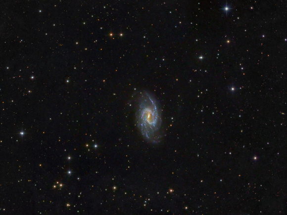 NGC 3359 - Barred Spiral in Ursa Major