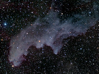 IC2118 - The Witch Head Nebula
